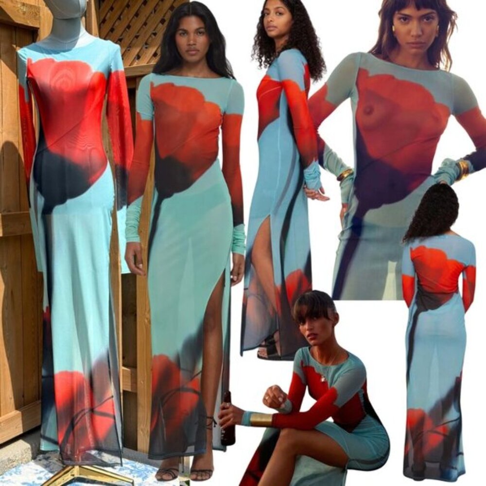🆕 RAT & BOA 🧿 NWOT Santino Sheer Long Sleeve Dress, Blue with Red Tulip Sz XXS